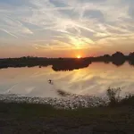 Nefelejcs 4*