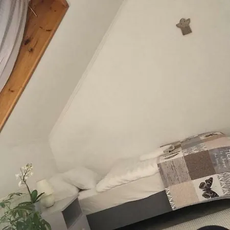 Πανσιόν Nefelejcs Vendeghaz Toalmas
