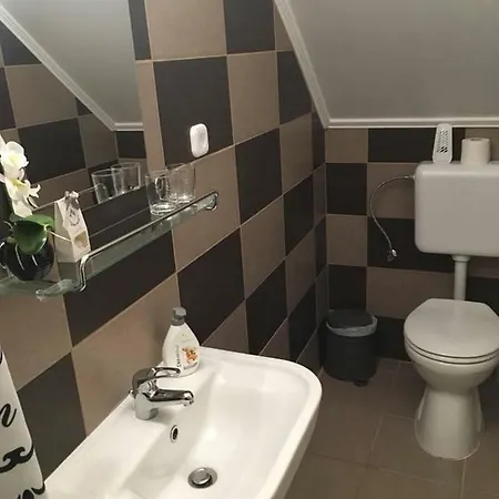 Nefelejcs Vendeghaz Πανσιόν 4*